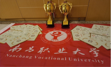 南昌职业大学啦啦操队在全国啦啦操锦标赛中斩获佳绩